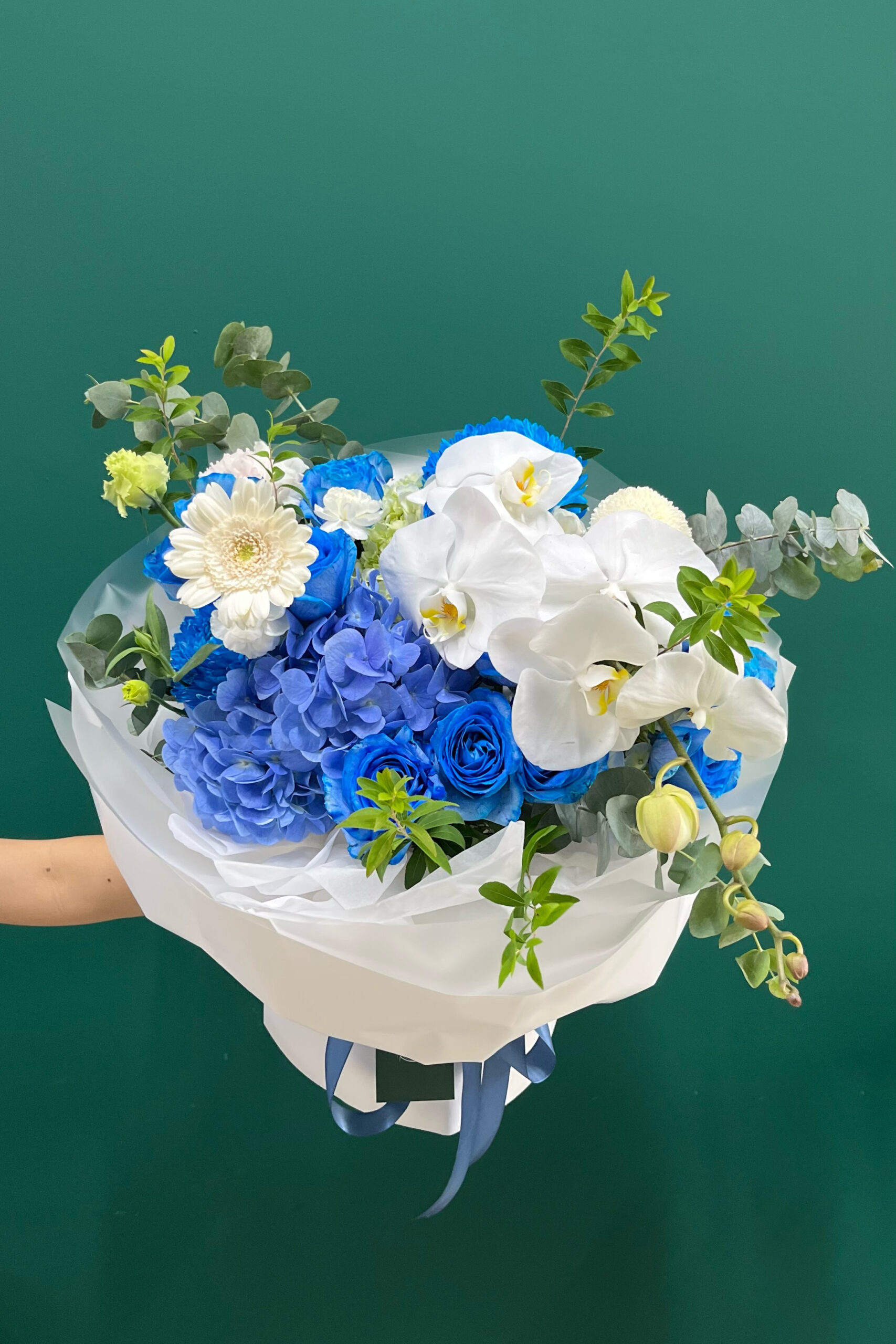 bó hoa lan 3 bó hoa lan 3